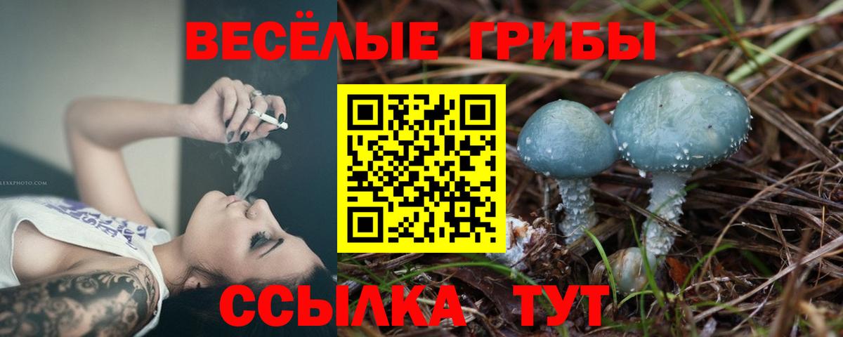 купить  цена  Псилоцибиновые грибы GOLDEN TEACHER  Вход с VPN  Богородск 
